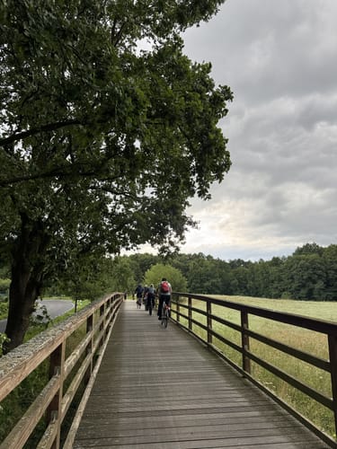 Schwielowsee Rundweg