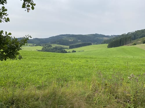 Beerenberg Rundweg A2