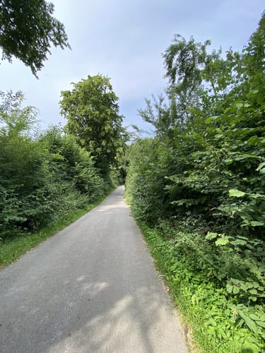 Beerenberg Rundweg A2