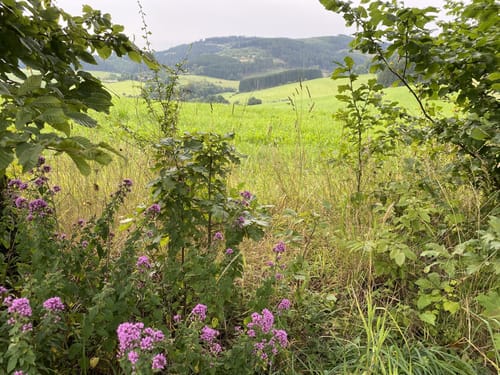 Beerenberg Rundweg A2