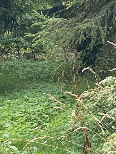 Beerenberg Rundweg A2