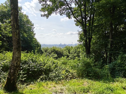 Grafenberger Wildgehege