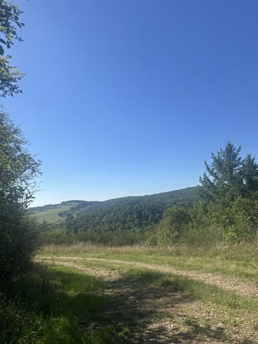 Falkensteiner Schlucht und Burg Falkenstein