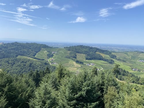 Oberkircher Brennersteig
