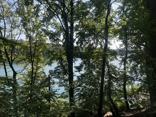 Um den Liepnitzsee