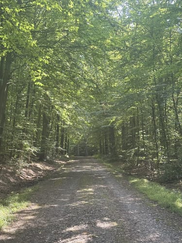 Platte Heide Waldrunde