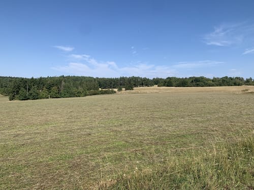 Emmingen - Nagold