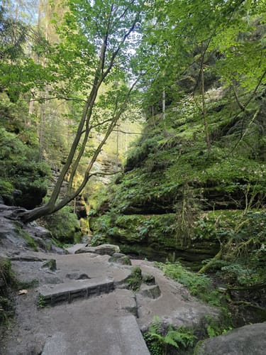 Lohmen: Über die Schwedenlöcher nach Kurort Rathen zur Bastei