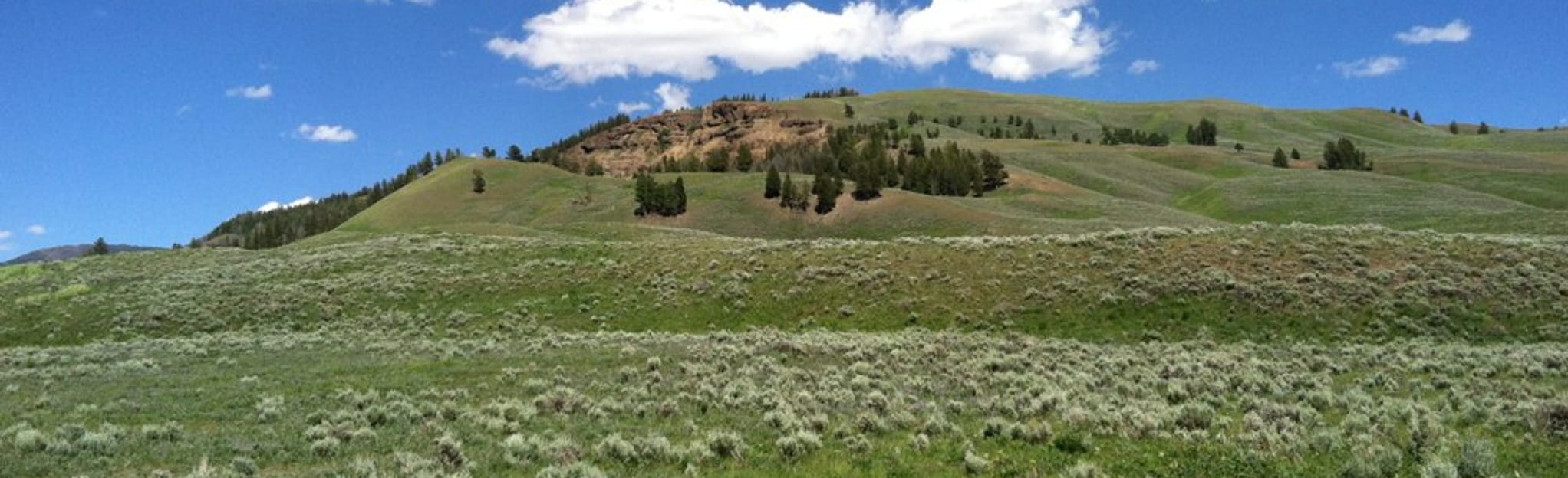 Lamar Valley Trail 535 foto 39 s - EyJidWNrZXQiOiJhc3NldHMuYWxsdHJhaWxzLmNvbSIsImtleSI6InVwbG9hZHMvcGhvdG8vaW1hZ2UvMTA3NTA2MzAvMWY5NzFlYTE1MTk3MDE2NjAzM2M3NmZhYWU3OGE4N2YuanBnIiwiZWRpdHMiOnsidG9Gb3JtYXQiOiJqcGVnIiwicmVzaXplIjp7IndpZHRoIjoyMDQ0LCJoZWlnaHQiOjYyNCwiZml0IjoiY292ZXIifSwicm90YXRlIjpudWxsLCJqcGVnIjp7InRyZWxsaXNRdWFudGlzYXRpb24iOnRydWUsIm92ZXJzaG9vdERlcmluZ2luZyI6dHJ1ZSwib3B0aW1pc2VTY2FucyI6dHJ1ZSwicXVhbnRpc2F0aW9uVGFibGUiOjN9fX0=