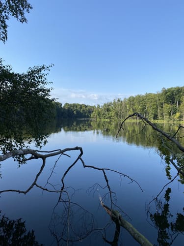 Kleine Runde zum Aboreturm