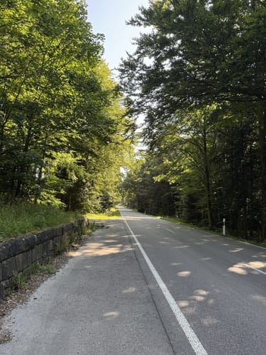 Schwanner Warte Westweg