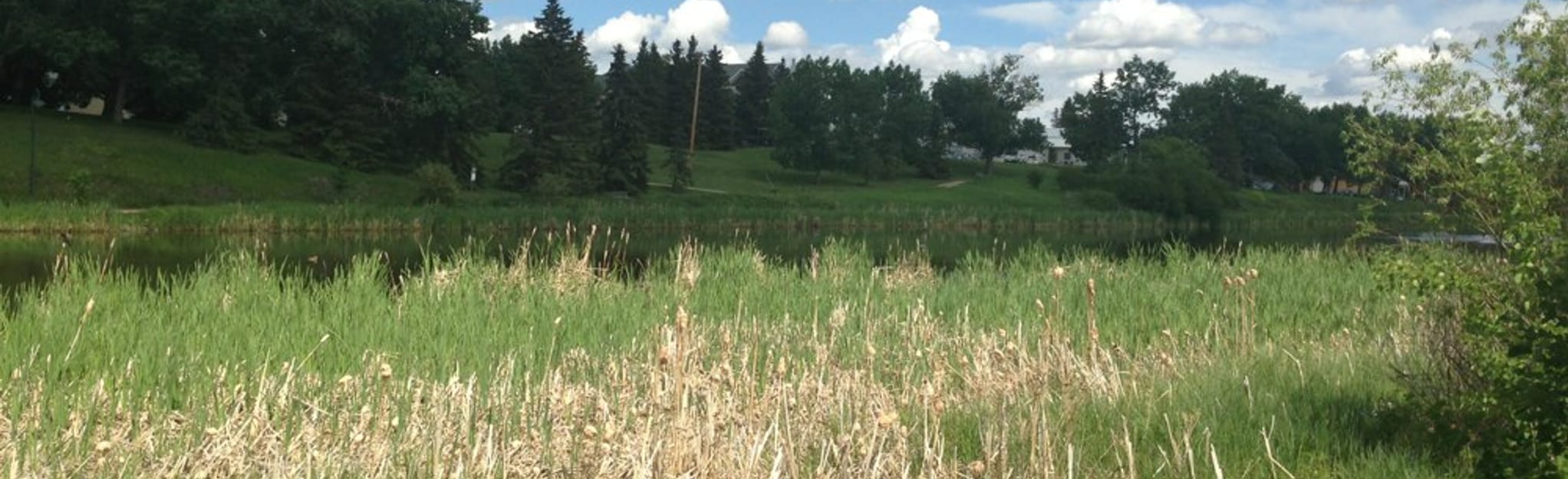 Mirror Lake Trail 62 Fotos Alberta, Kanada AllTrails