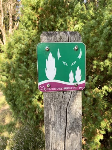 Südheide 'Wacholderwald in der Teufelsheide' W1l (lange Tour)