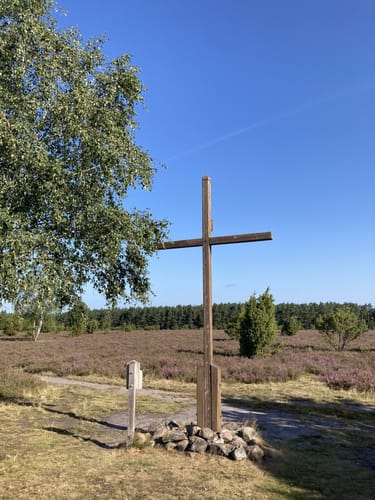 Südheide 'Wacholderwald in der Teufelsheide' W1l (lange Tour)
