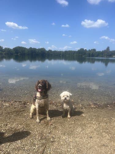 Rund um den Lago Laprello