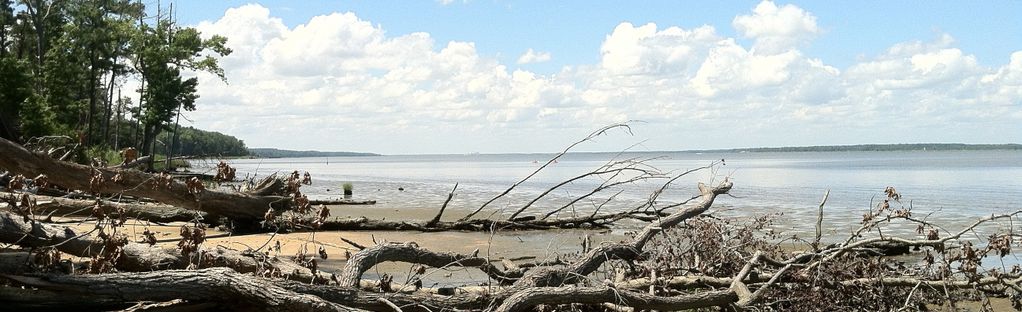 Mattaponi Trail to Fossil Beach [CLOSED] | Map, Guide - Virginia | AllTrails