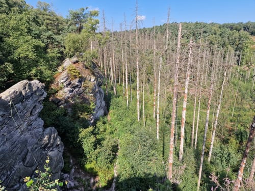 Dörenther Klippen (Teutoschleife)