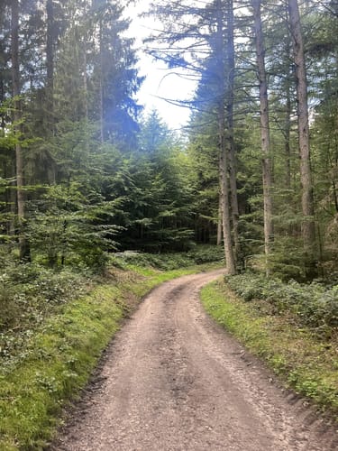 Rund um dem Stocksee