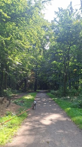 Hüthum Rundweg A1