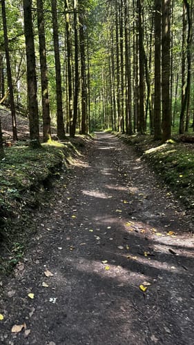 Der Karstkundliche Wanderpfad