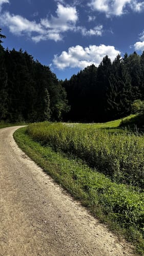 Der Karstkundliche Wanderpfad