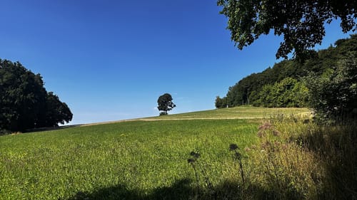 Der Karstkundliche Wanderpfad