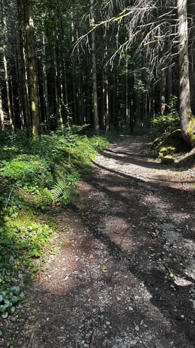 Der Karstkundliche Wanderpfad