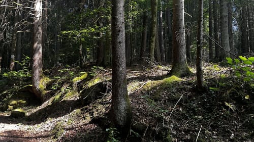 Der Karstkundliche Wanderpfad