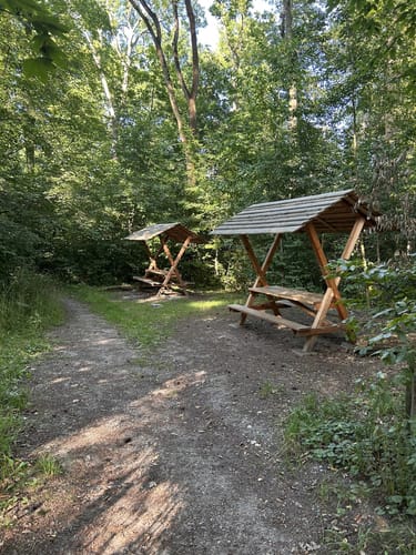 Erfurter Steigerwald: Naturlehrpfad 2
