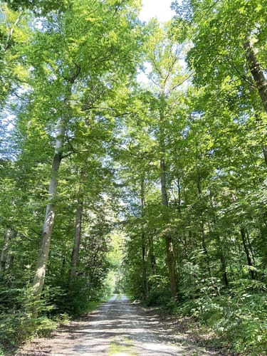 Erfurter Steigerwald: Naturlehrpfad 2
