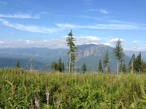 Best Hikes and Trails in Rattlesnake Mountain Scenic Area | AllTrails