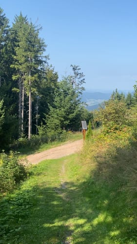 Auf den Hörnleberg ab Bleibach
