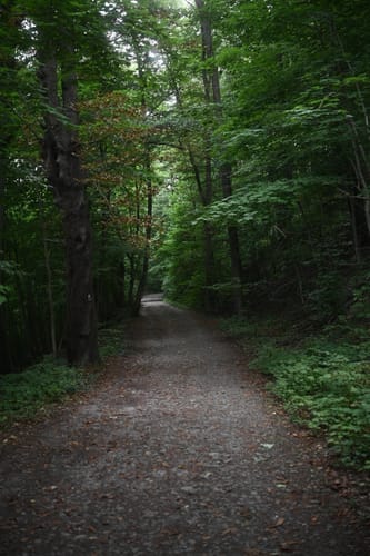 Der Naturpark Siebengebirge aus Rother Wanderführer Westerwald Nr. 50