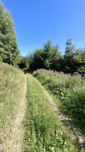 Um Oesterberge