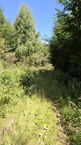Um Oesterberge
