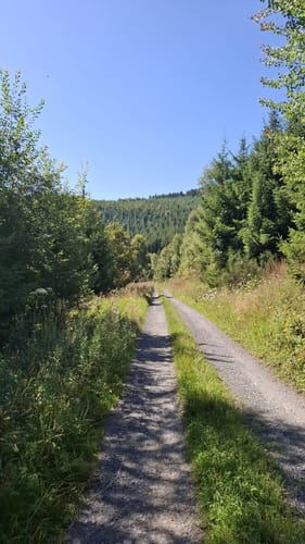 Um Oesterberge