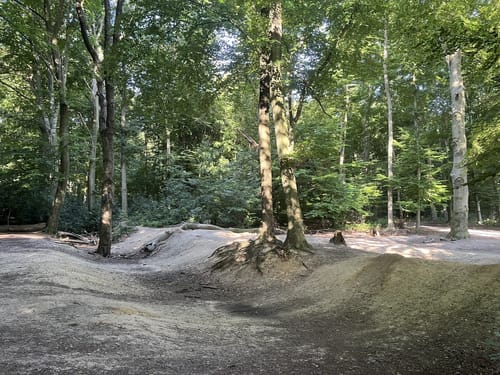 Holterhöfe - Forstwald