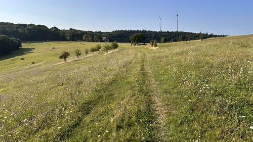 MTB Tour: Sulz - Jägerweg - Seelbach Rundweg