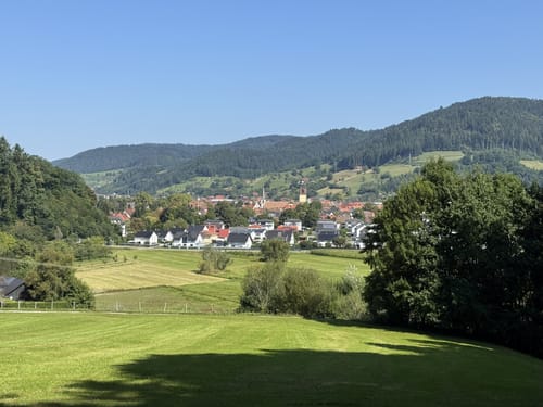 Wald- und Erlebnispfad "Bächlewald"