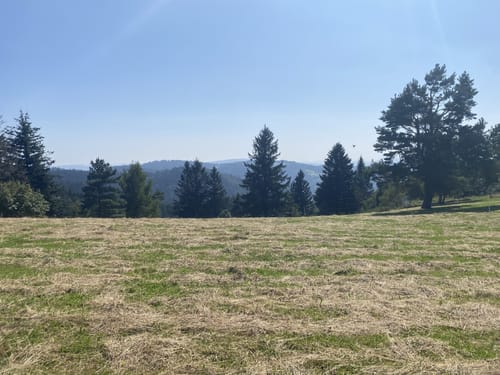 Karlsruher Grat (Genießerpfad)