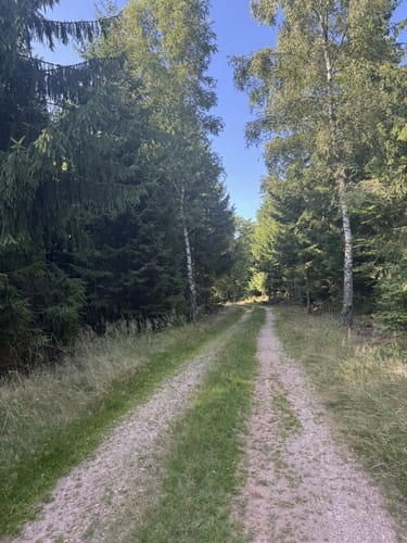 Kohlweg Runde