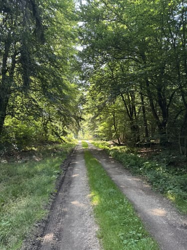Kohlweg Runde