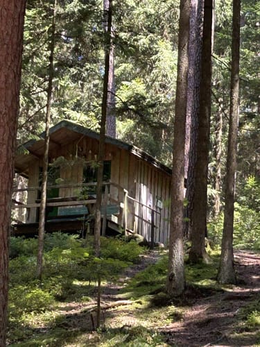 Im Hemauer Wald