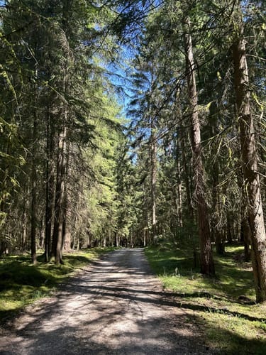 Im Hemauer Wald