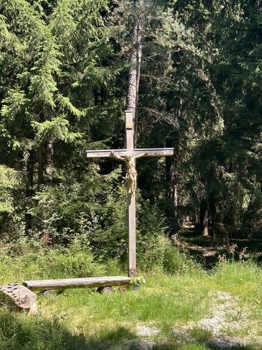 Im Hemauer Wald