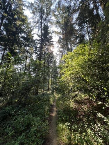 Rundwanderweg Kehrrang 6