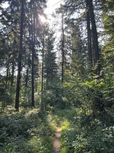 Rundwanderweg Kehrrang 6
