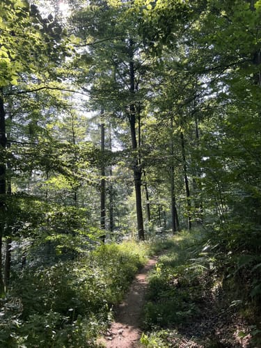 Rundwanderweg Kehrrang 6