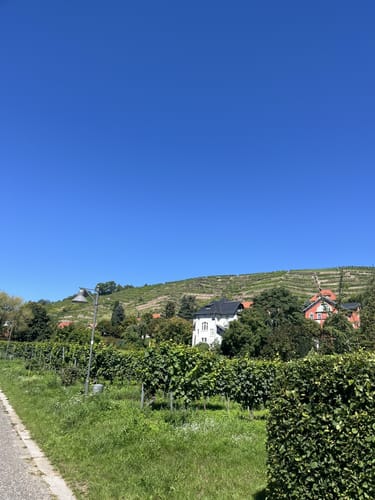 Radebeul: Wahnsdorf - Bennoschlösschen Rundwanderung