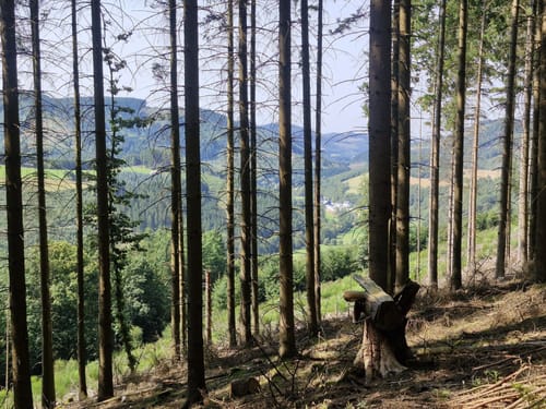 Rund um den Beerenberg